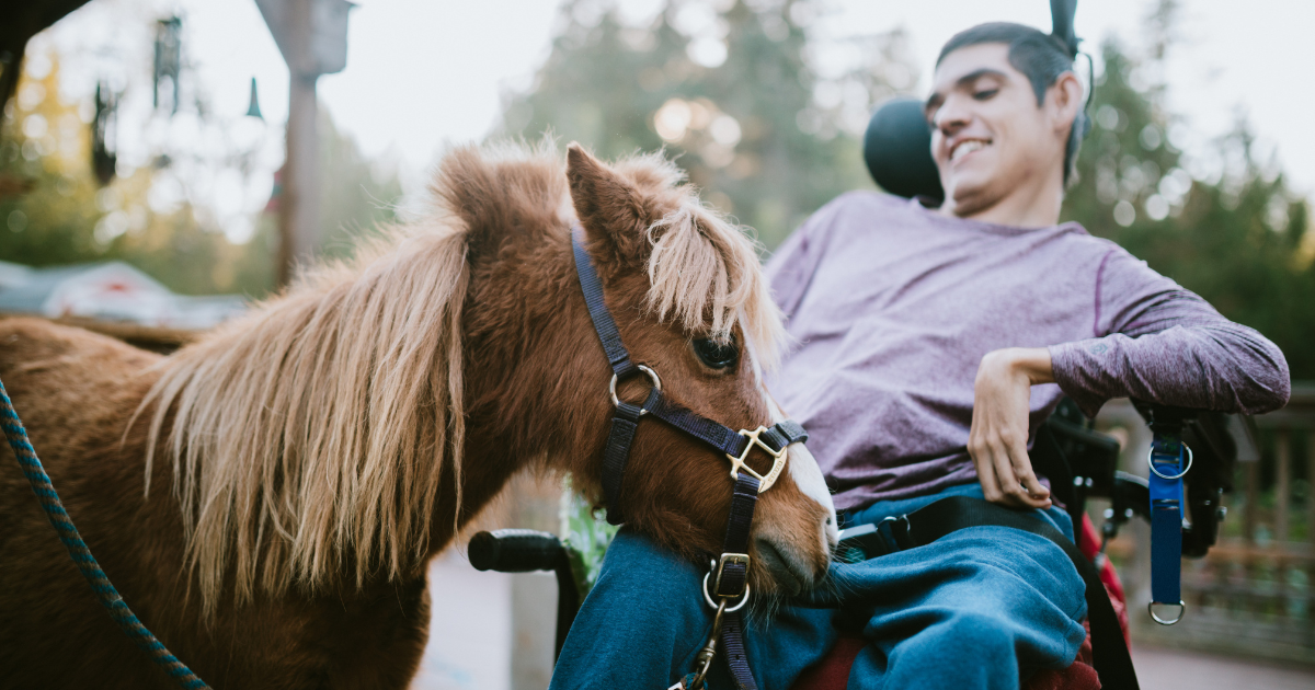 Educational Benefits Of Equine-Assisted Therapy - Empowering Homeschool ...